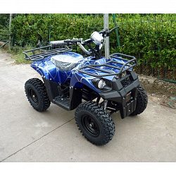 Электроквадроцикл El-Sport Children ATV 1000W 36V/12Ah