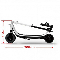 Электросамокат El-sport MINIMULA L-2C 250W