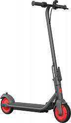 Электросамокат Ninebot KickScooter C20
